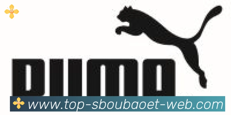 利记sbobet体育合作伙伴